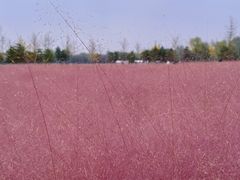 -汉长安城未央宫国家考古遗址公园