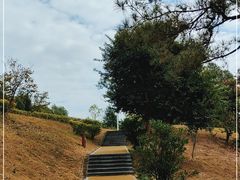 -中国移动南方基地