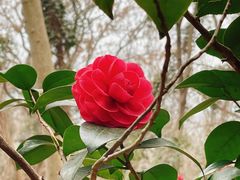 -南京市江宁方山