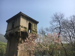 -紫霞湖公园