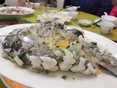 清蒸坑娟鱼-山坑河鲜(昆仲楼店)