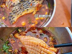 -草墩罗非鱼庄•野生菌•腊排骨(七星街上段店)