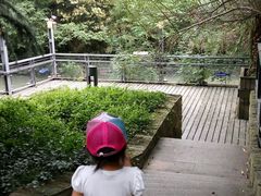 -苏州河梦清园环保主题公园