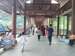-重庆彩云湖湿地公园