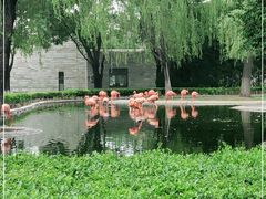 -石家庄市动物园