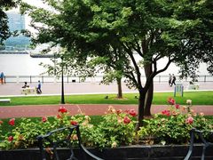 -浦江二号·独栋江景餐厅(滨江大道店)