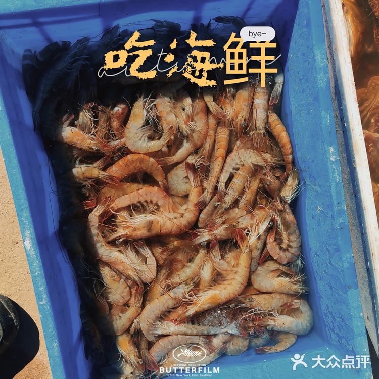 湉湉“秋日”出海 | 塘沽出海打鱼的绝佳地点