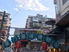 -猫咪博物馆(顶澳仔猫街店)