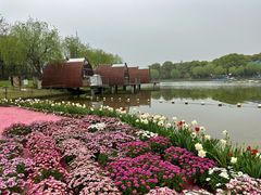 -上海鲜花港
