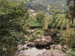 -藏龙百瀑风景区