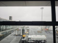 -郑州新郑国际机场-T2航站楼