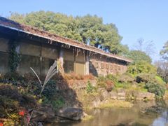 -中国茶叶博物馆(双峰馆区)