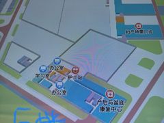 -佛山市妇幼保健院(新城院区)