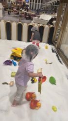 -奈尔宝·儿童乐园·亲子餐厅(鄞州万达店)