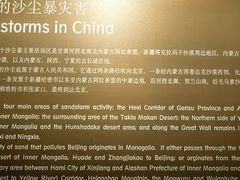 -中国地质博物馆
