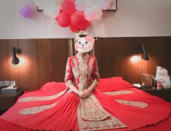 -ZHICOME·稚蔻婚纱礼服造型定制(西安龙首印象城店)