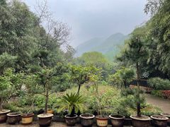 -西安金龙峡风景区