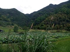 -芭比堂动物医院广州顽皮分院