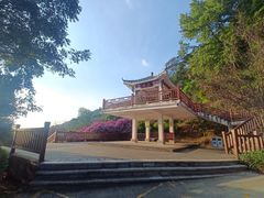 -广州市石门国家森林公园