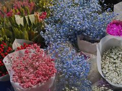 -循礼门鲜花花市(武汉循礼门店)