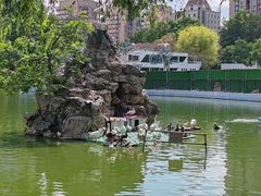-团结湖公园