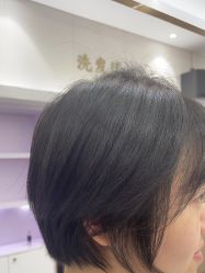 -MODEL SAGA名媛世家