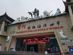 -多彩贵州城极地海洋世界