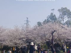 -堤角公园
