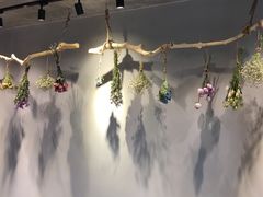 -Bai Meow法式西点咖啡
