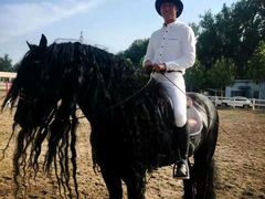 -月河湾马术俱乐部(朝阳店)