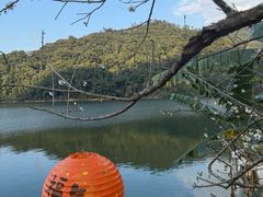 -广州市流溪河国家森林公园