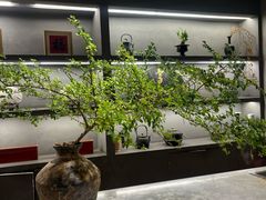 -西双版纳总佛寺