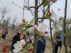 -野鸭湖国家湿地公园