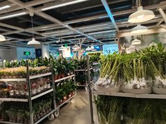 -宜家家居(四元桥商场店)