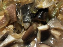 -素虎小呆鸟(西二旗店)