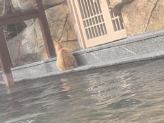 -望儿山温泉水乐园