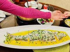 -宋园·金宴浙鲜馆(静安店)