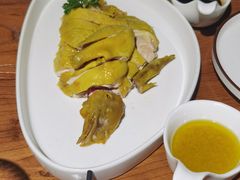 双味白斩鸡-金枝玉叶上海人家食府(三里河店)