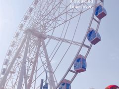 -顾村公园