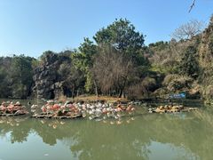 -宁波野生动物园