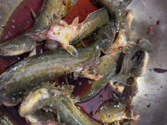 -金海椒罐罐鲢鱼(东方桂苑店)