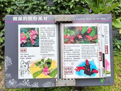 -深圳仙湖植物园