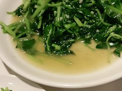 -金春禧(北国商城店)