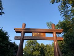 -龙井村