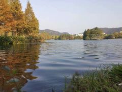 -浙江农林大学(东湖校区)