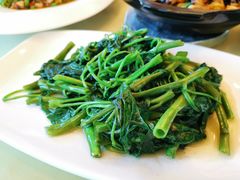 -锦江宾馆-花园餐厅