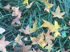 -北京动物园-畅观楼