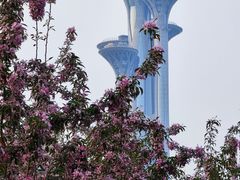 -北京奥林匹克公园