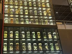-广东中医药博物馆