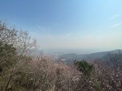 -香山公园
